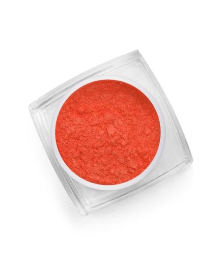 Pigment Powder Neon (pigmento in polvere) - N.31